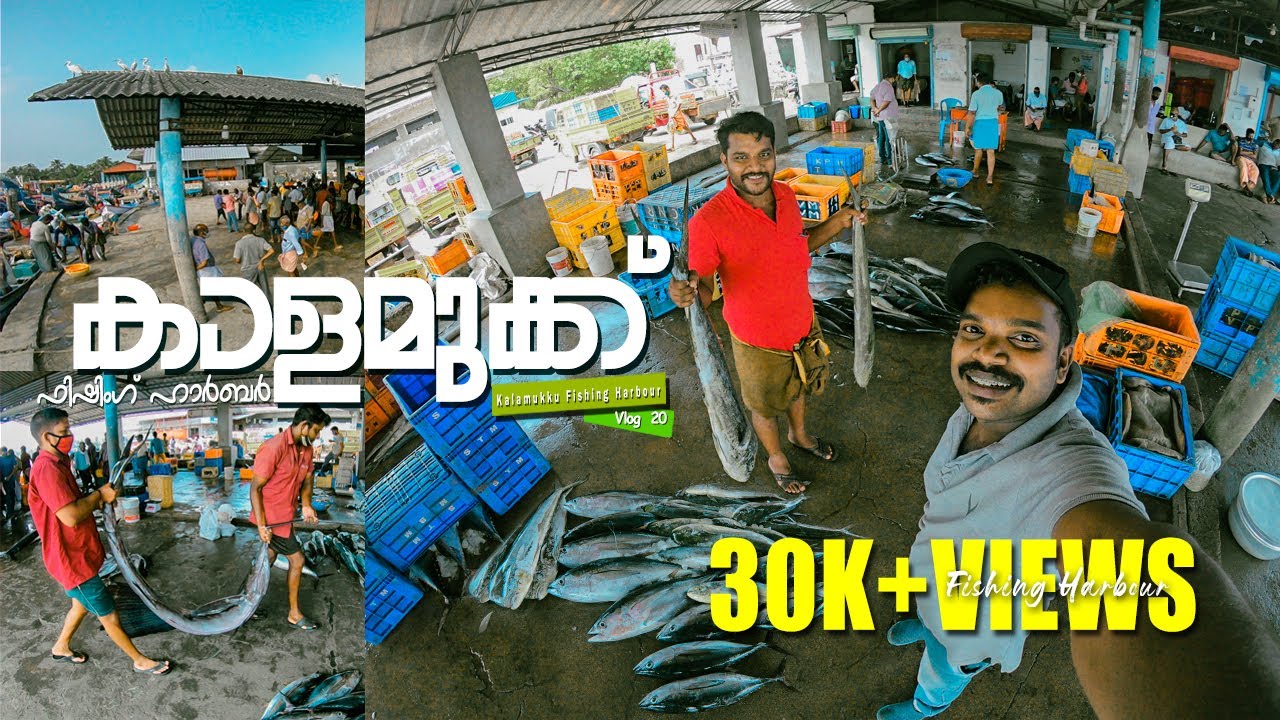 കാളമുക്ക് ഫിഷിംഗ് ഹാർബർ | Kalamukku Fishing Harbour | souloftravelbyantoparayil