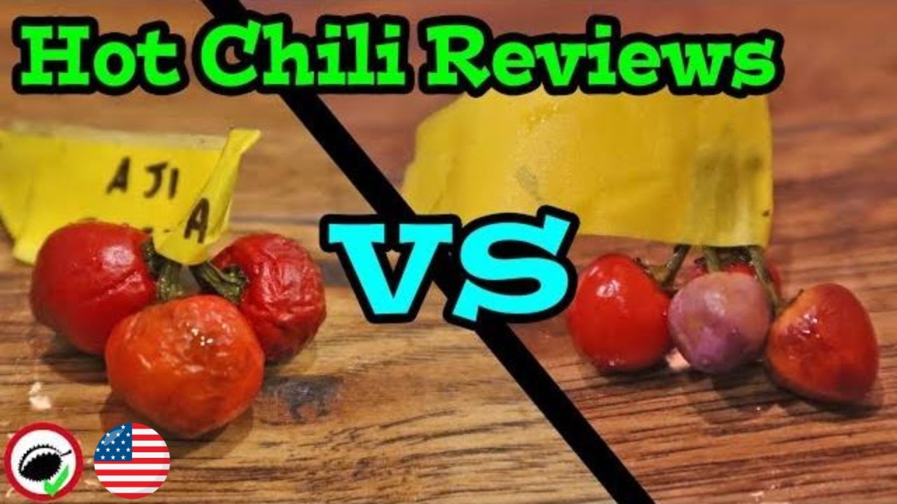 Chili Reviews! Aji Cochabamba VS Aji Ayuyo