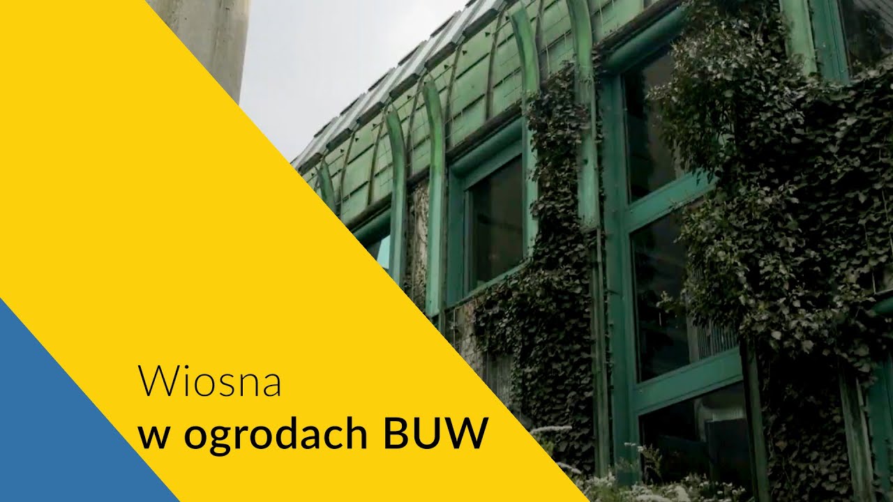 Wiosna w ogrodach BUW