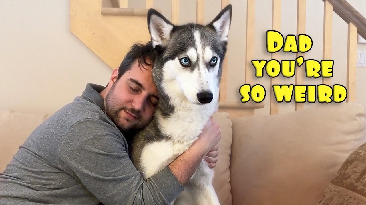 Hugging My Dog for Too Long [FUNNY REACTION & COMMENTARY]