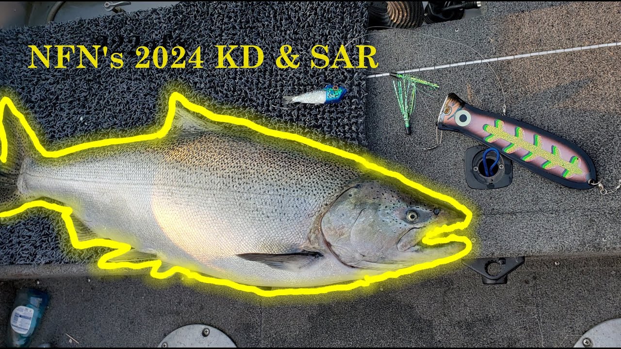 NFN 2024 KD Salmon A Rama (Lake Michigan) Tournament Fishing