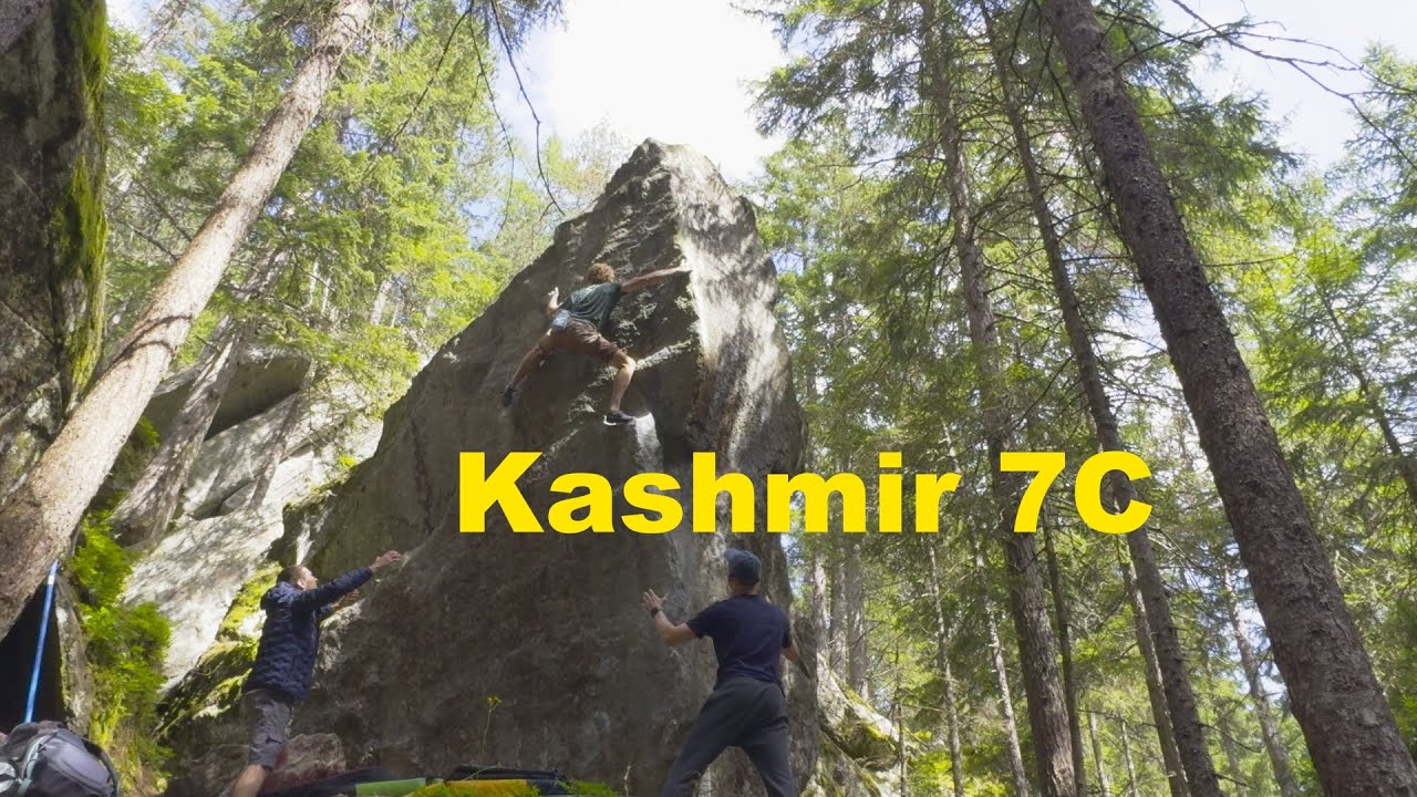 Kashmir 7C, Magic Wood 2024