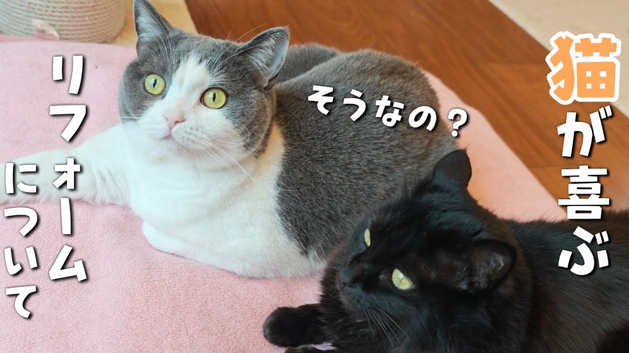 中庭改造計画について嬉しいご報告です