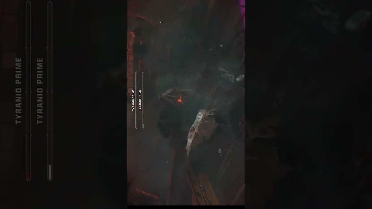What if Ai made A Salamander Song Loyaltys Embrace 