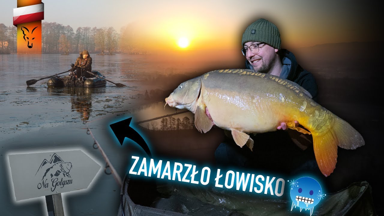 PRZEDWIOŚNIE NA GOŁYSZU | Fox carp fishing