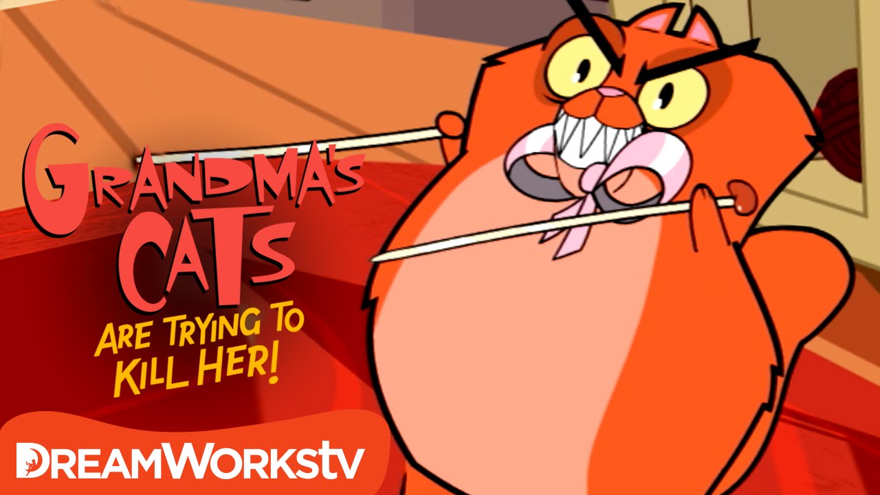 Knitting Needle Nightmare | GRANDMA'S CATS ARE TRYING TO KILL HER