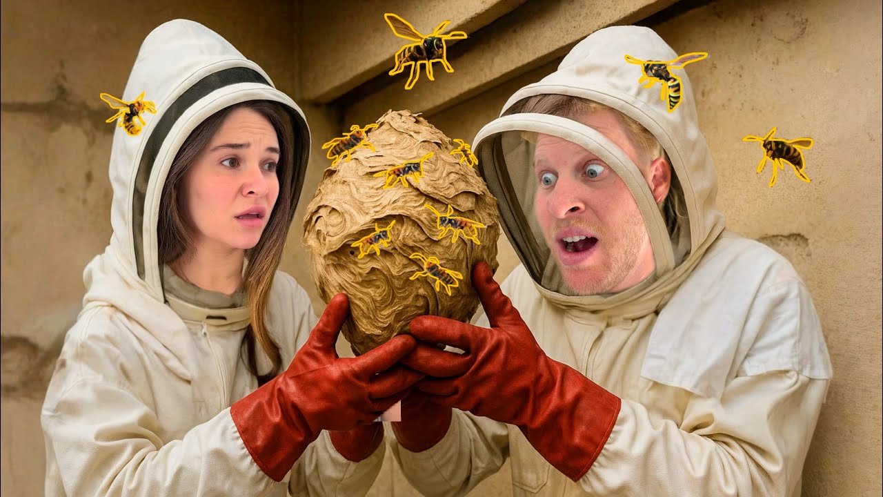 Removing the KILLER WASPS Taking Over My House!