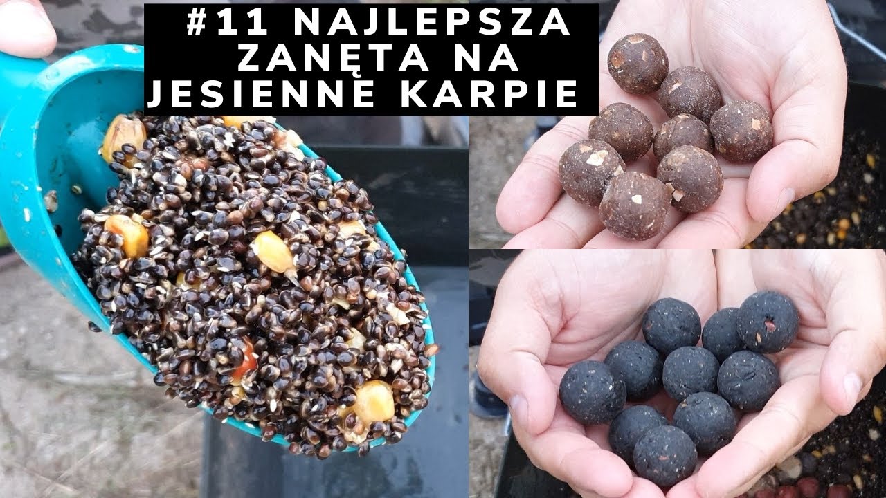 Jak zrobić  najlepszą zanętę na grube jesiennie karpie ?