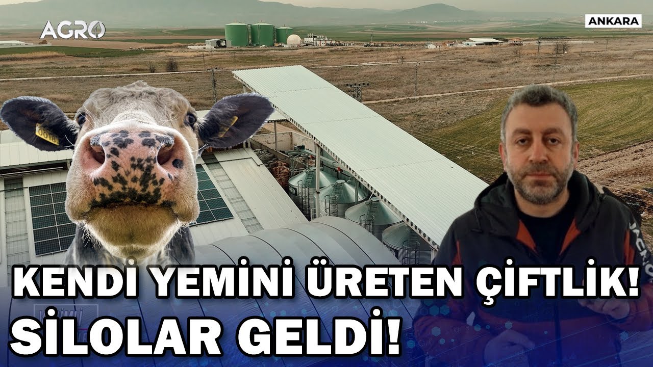 Kendi Yemini Kendi Üreten Süt Çiftliği! Silolar Geldi / Verimli Çiftlikler