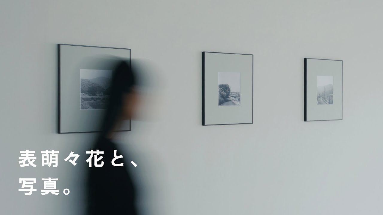 全国の火葬場を撮影した「沈黙の塔」ができるまで。表萌々花にとっての旅と写真。