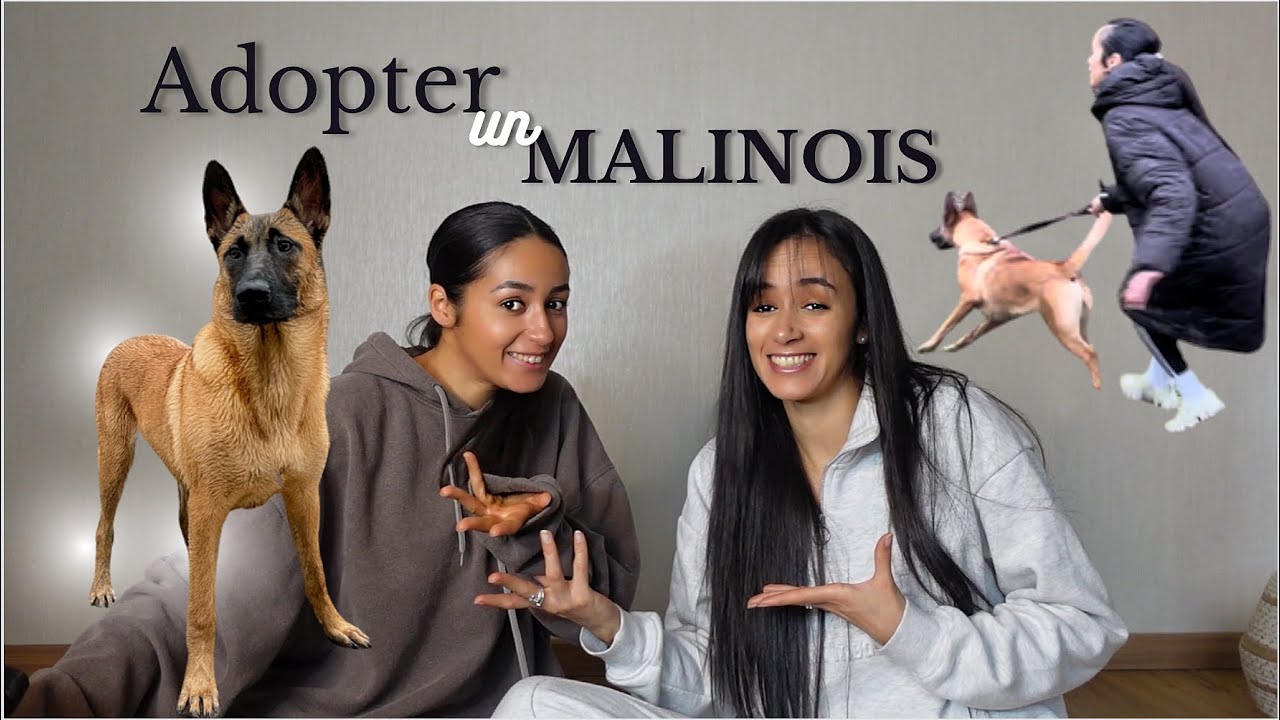 DEUX FILLES AVEC UN MALINOIS 😱👀