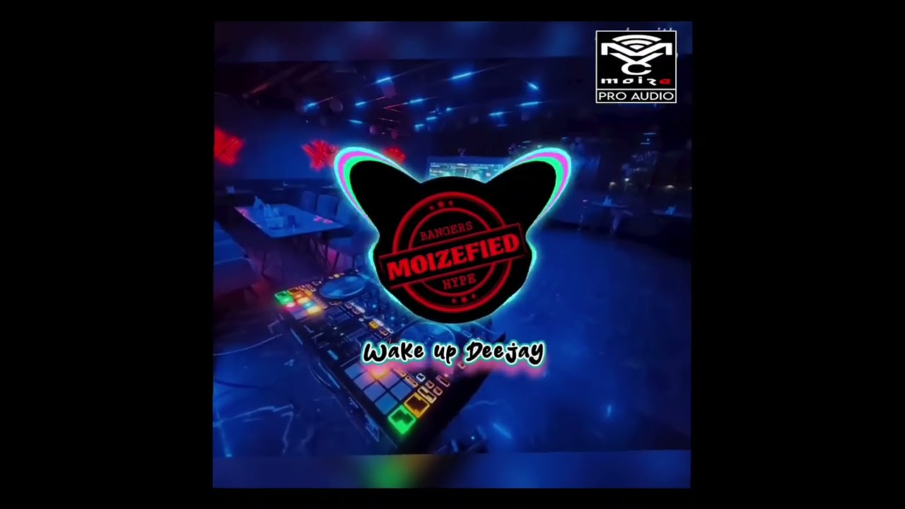 Wake Up Deejay - dj moize #housemusic #bounce #techno 
