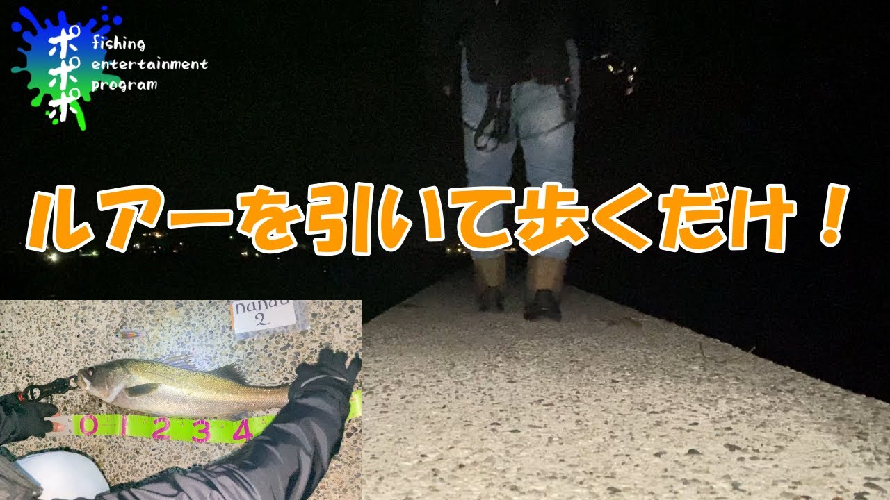 【シーバス釣り基本】テクトロの釣果紹介です😁👍誰でも簡単にできて、リーリングスピードの練習になると思います！！　#シーバス #ローリングベイト シャッド