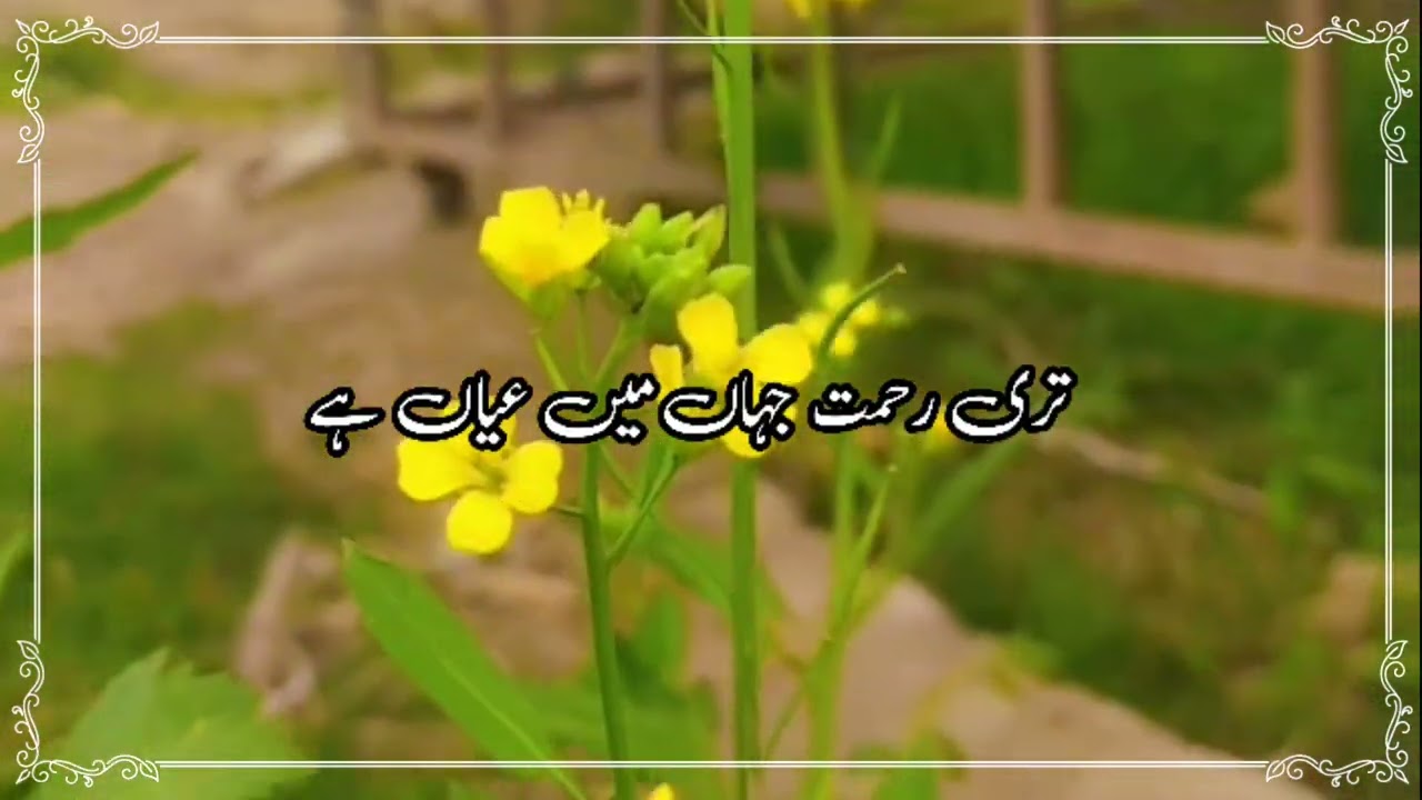 تو ہی مالک ہے مولا ہمارا غم کے ماروں کا تو ہی سہارا 