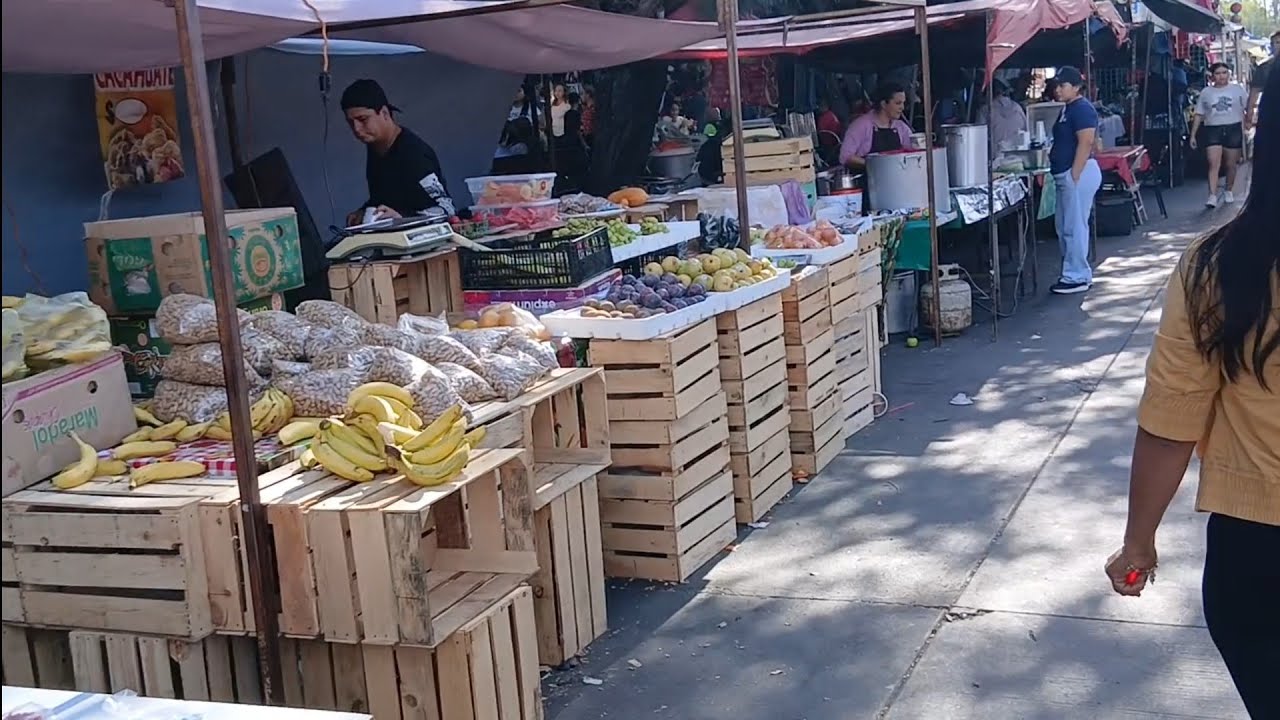 Un Dominguito En El Tianguis De Los Mochis 