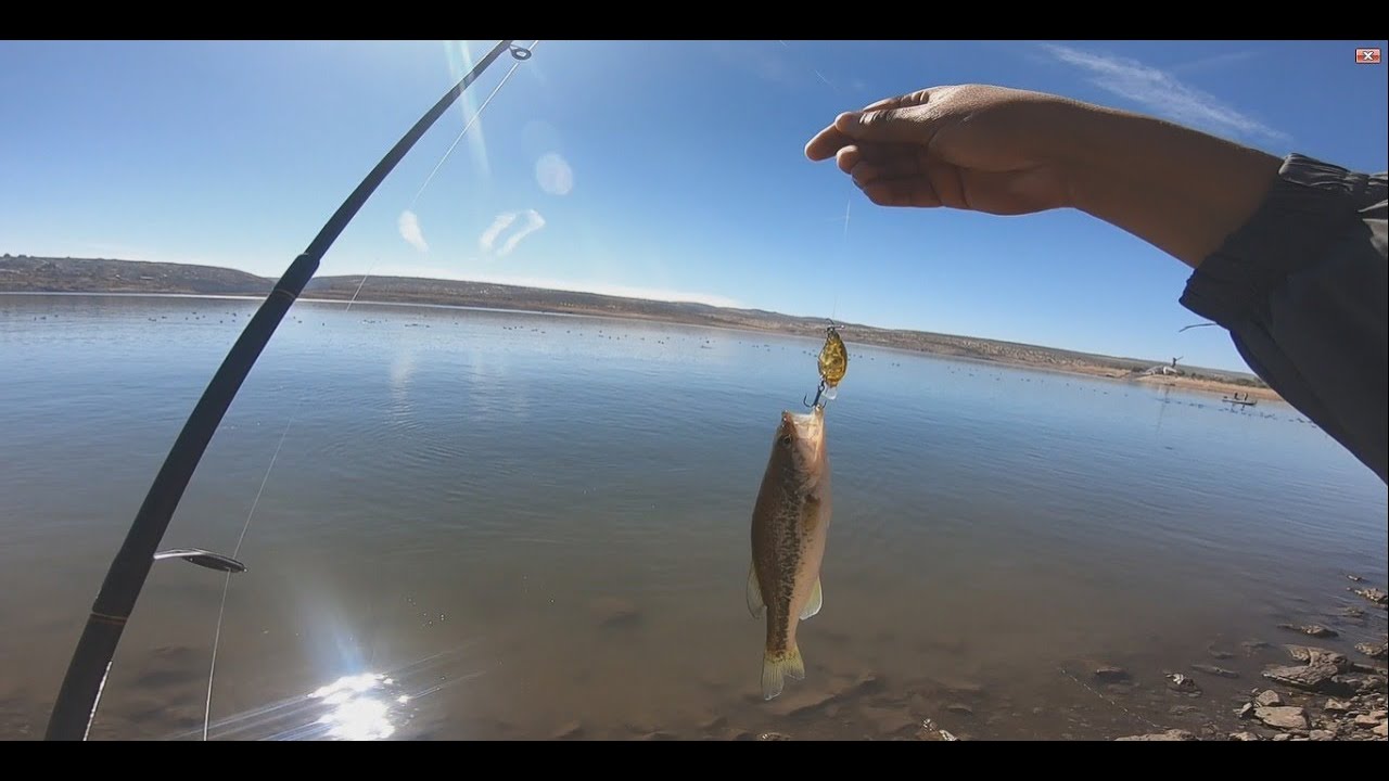 Pescando lobina de orilla en Presa Calles, Aguascalientes II Es mejor de orilla o en lancha???