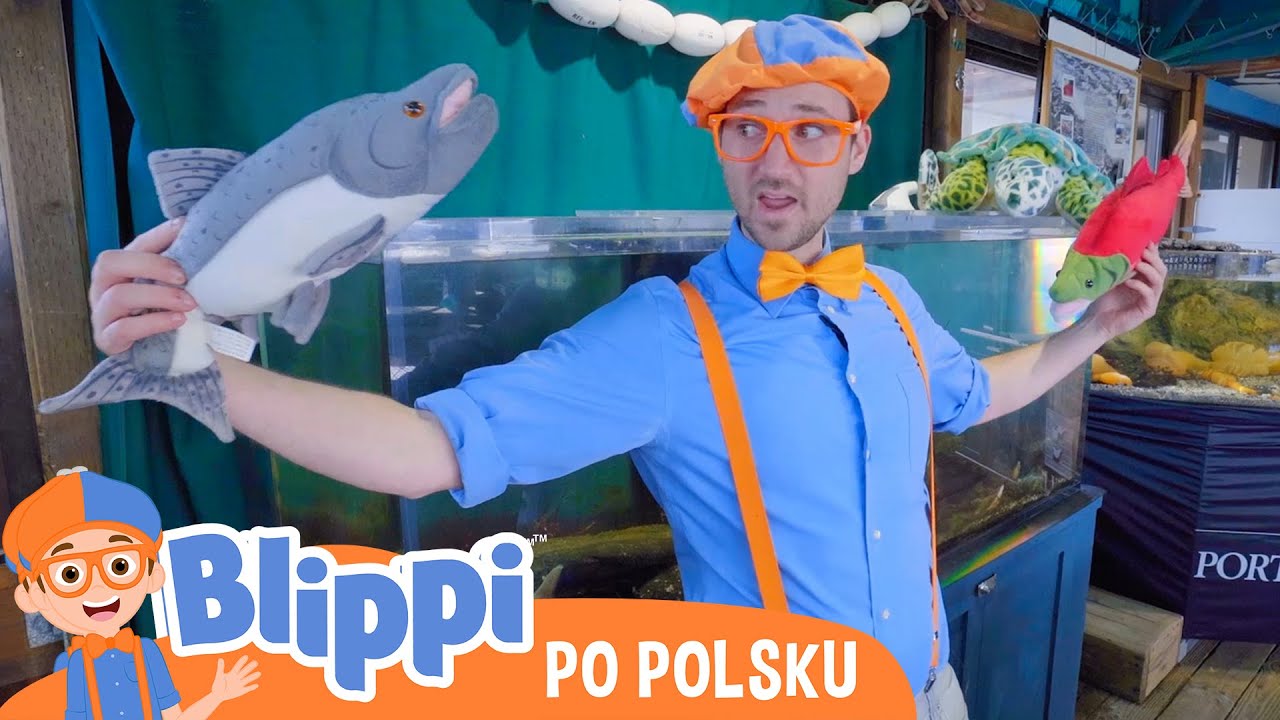 Zwierzęta w oceanarium | Blippi po polsku | Nauka i zabawa dla dzieci