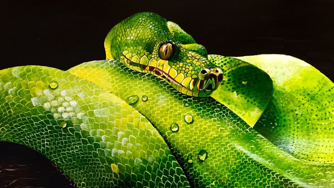 Python Acrylic Painting  | Timelapse