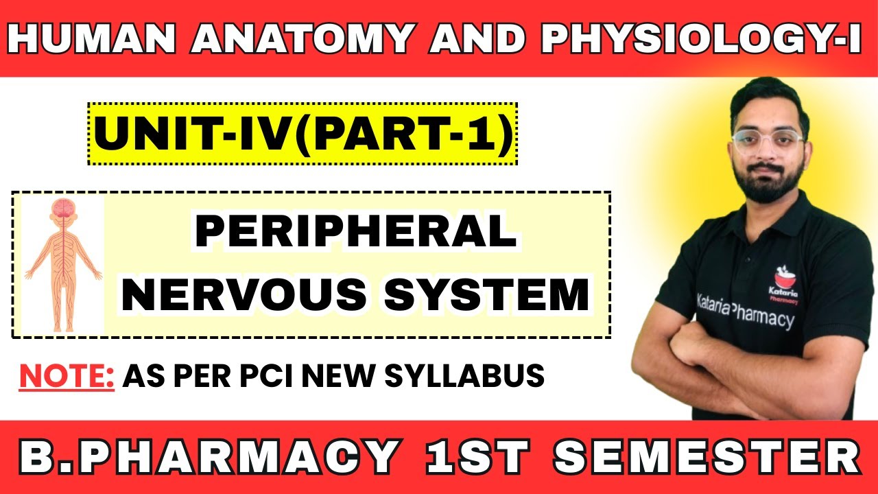 PERIPHERAL NERVOUS SYSTEM | UNIT-IV (PART-1) Human Anatomy & Physiology-I | B.Pharma 1st Semester