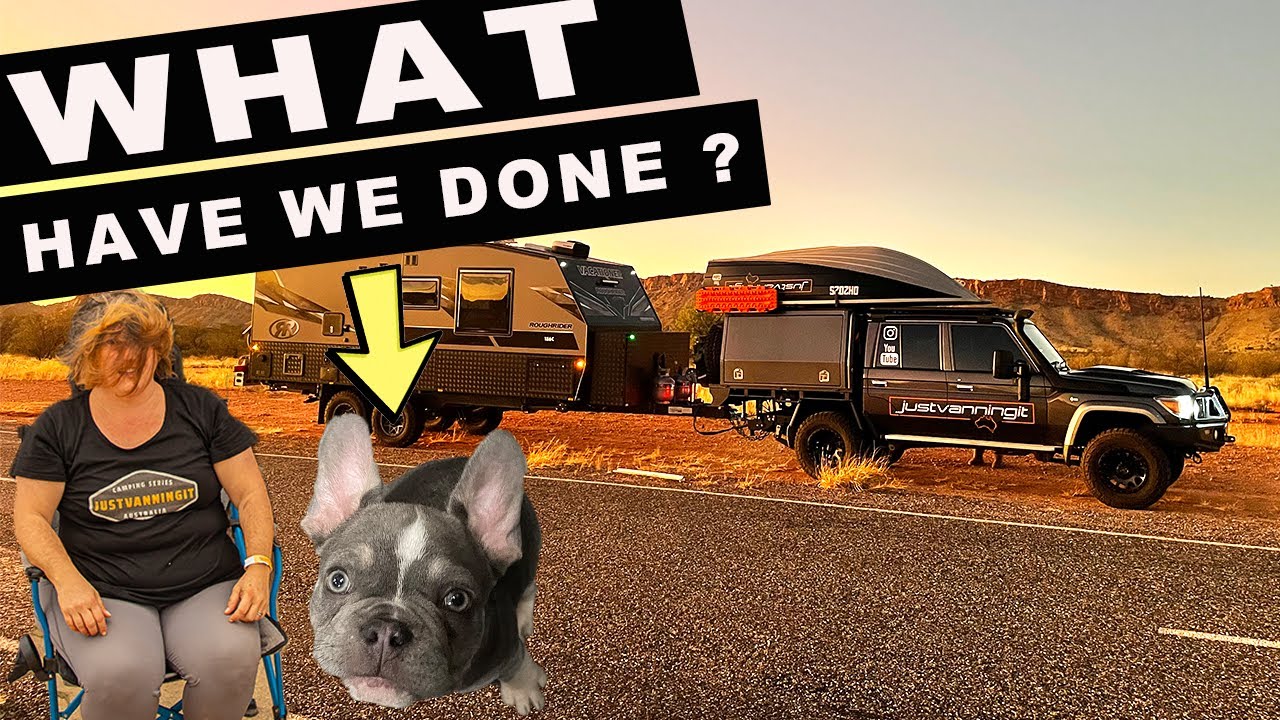 TRAINING A PUPPY|Caravan australia|North Queensland