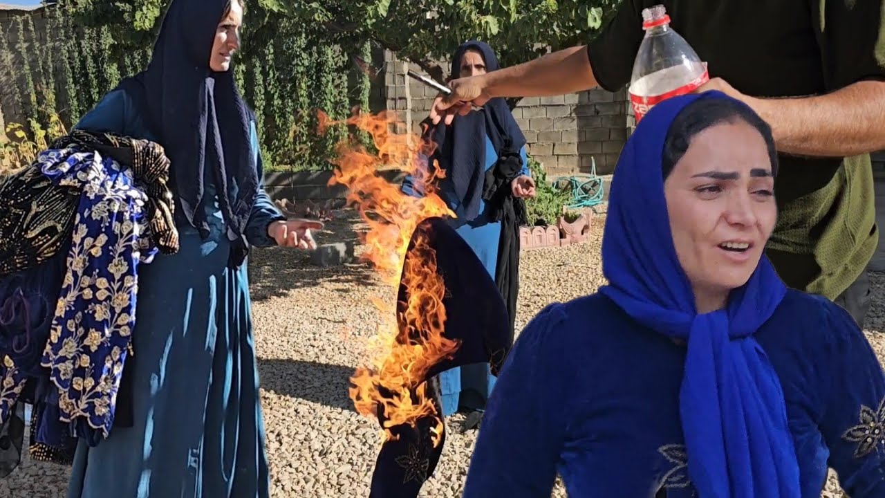 Qasem Kicks Shahrbano Out of the House! Resolving the Conflict and Reconciling Ahmad and Arezoo