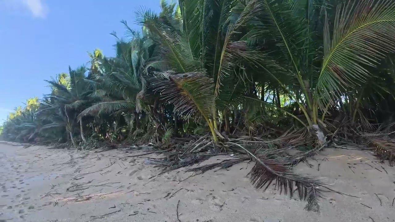 Puerto Rico north shore stroll - windsurfing too!