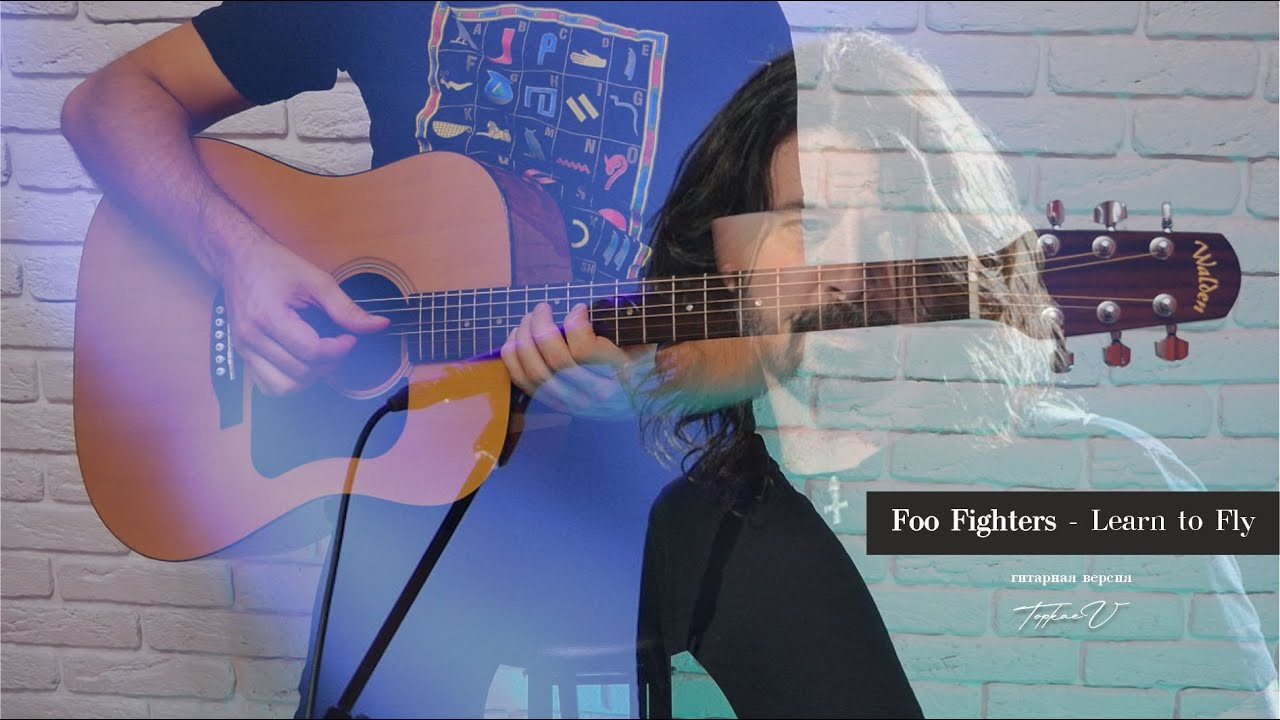 Foo Fighters - Learn to fly (guitar cover)