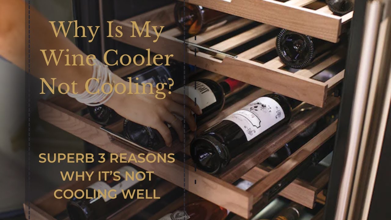 Why Is My Wine Cooler Not Cooling? Superb 3 Reasons Why It&rsquo;s Not Cooling Well