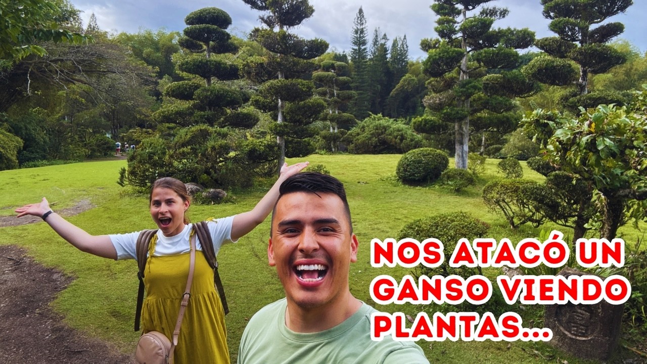 Jardín japonés tiene plantas que valen más de 1.000.000 de dólares, República Dominicana |AP