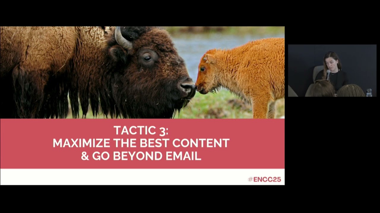 More Eyes, More Donations: Use Your Email Program To Reach More Donors Across Multiple Channels