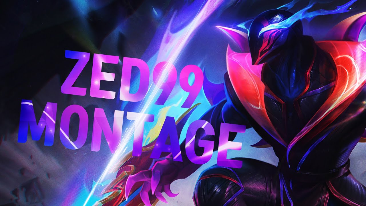 ZED99, 11월 하이라이트!