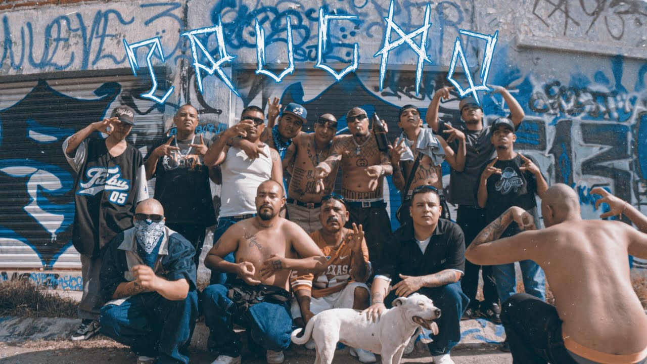 El Sapo Loko - Trucha Ft Gera LL & LuisGael DM (Video Oficial)
