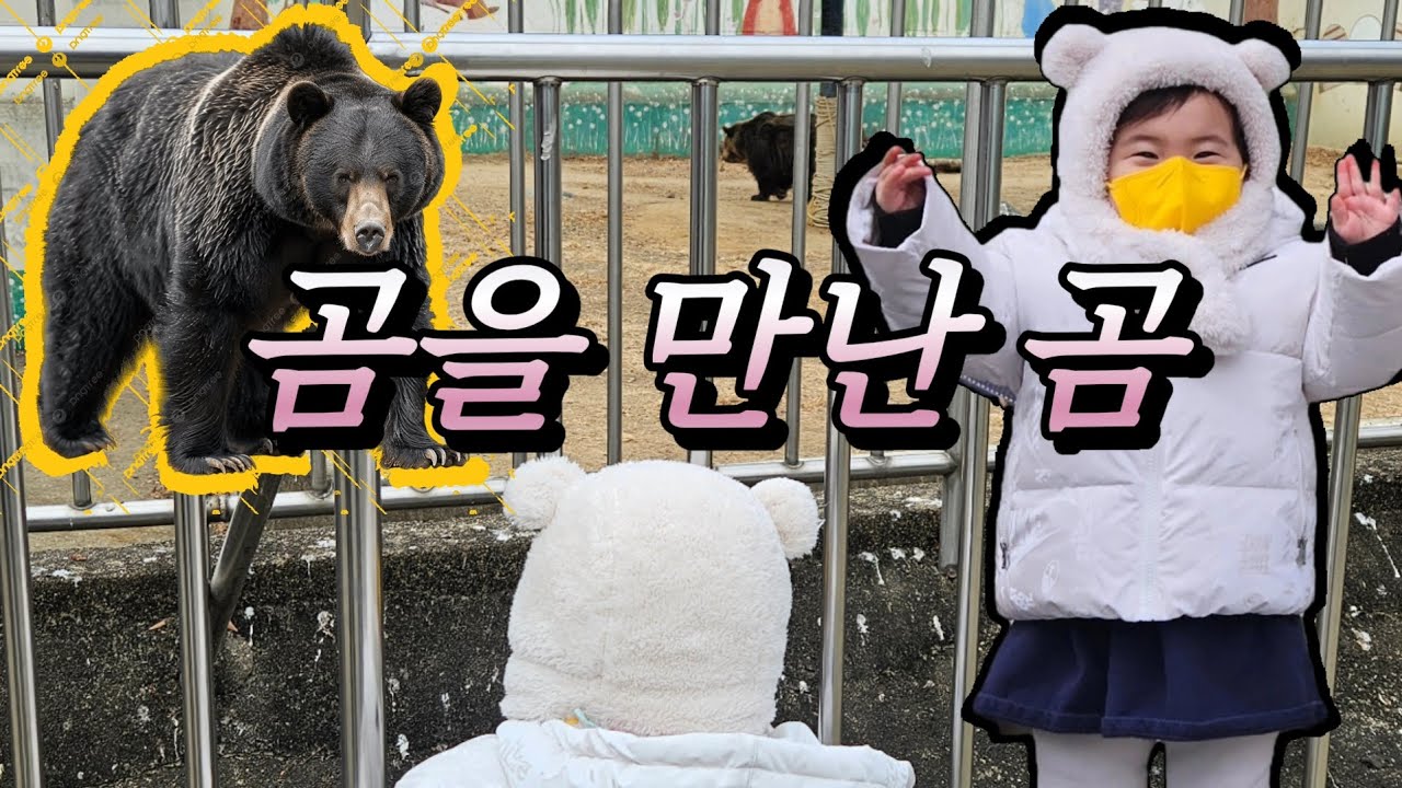 🐻 곰을 만난 곰 | 조금은 아쉬운 22개월 아기의 첫 동물원 ㅋㅋ 