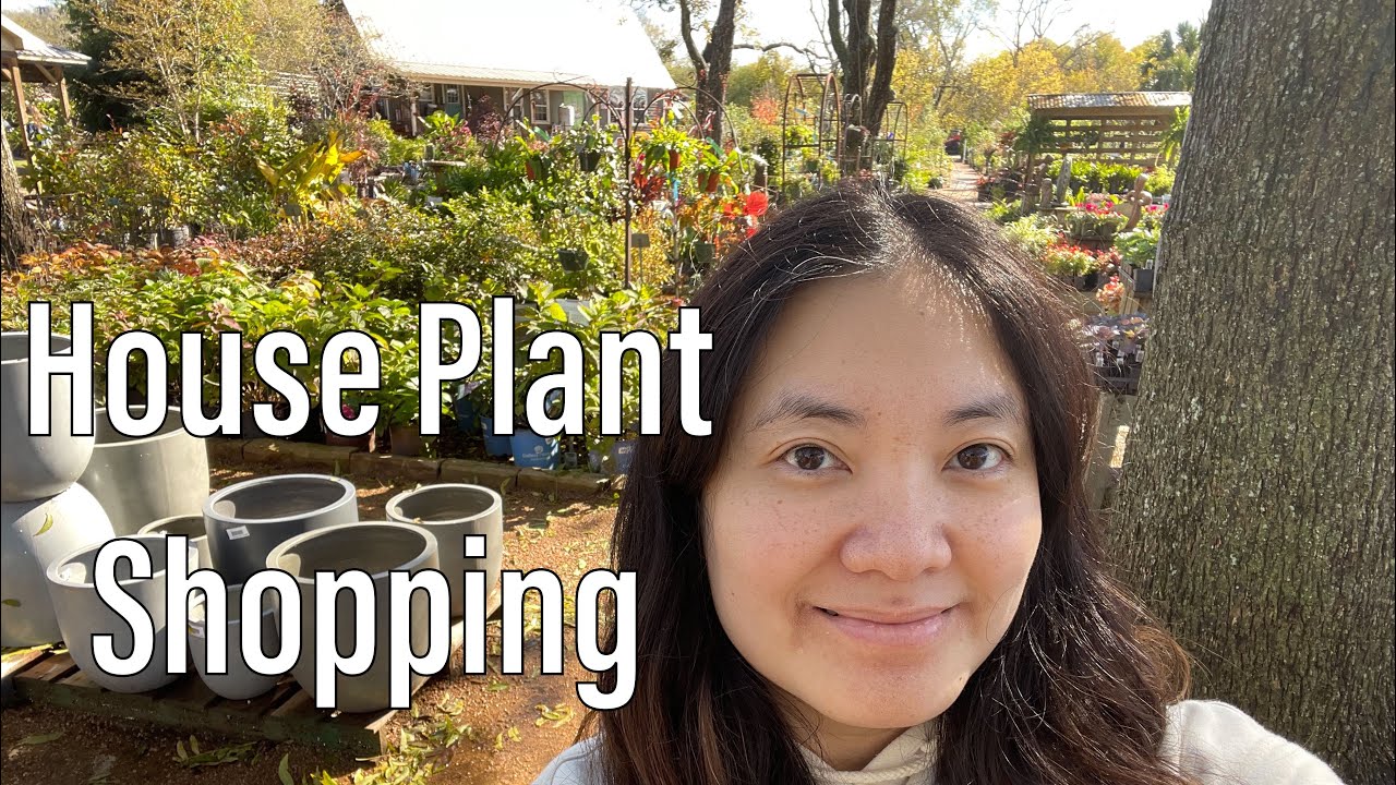 House Plant Shopping 40% Off Sale Enchanted Forest Nursery Richmond Houston TX