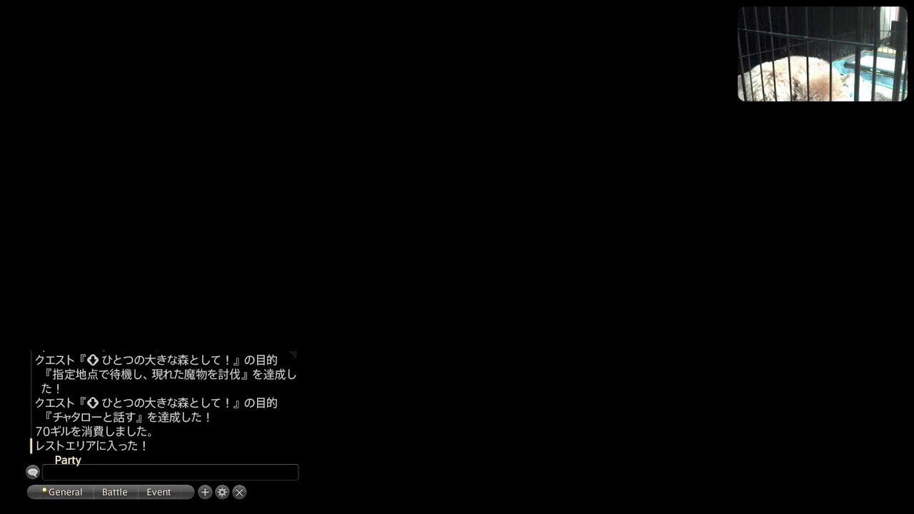 FF14　 エオルゼアを救う　トイプードル見ながら