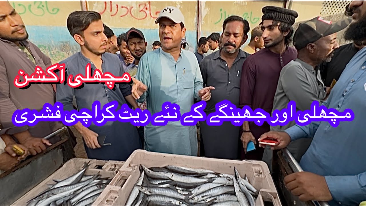 FISH AUCTION & FISH & PRAWNS PRICE UPDATE KARACHI FISH HARBOUR MARKET April 1, 2026