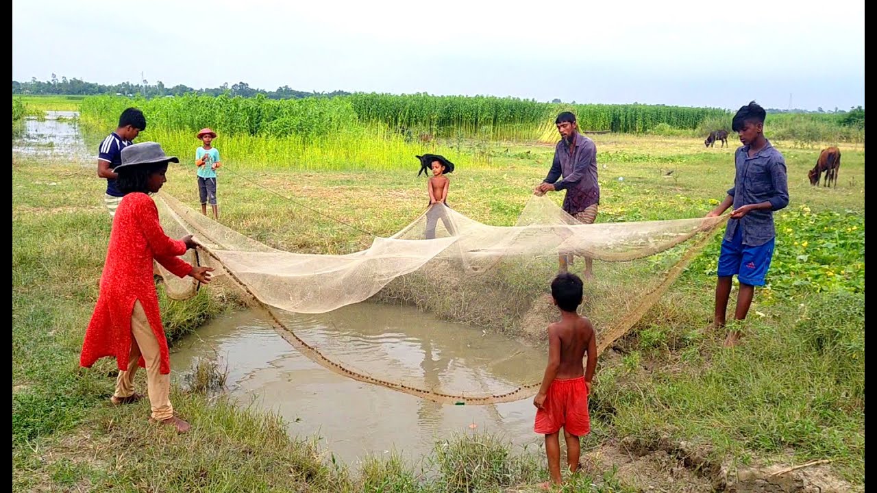 Best asian village fishing - Asian traditional net fishing by village people