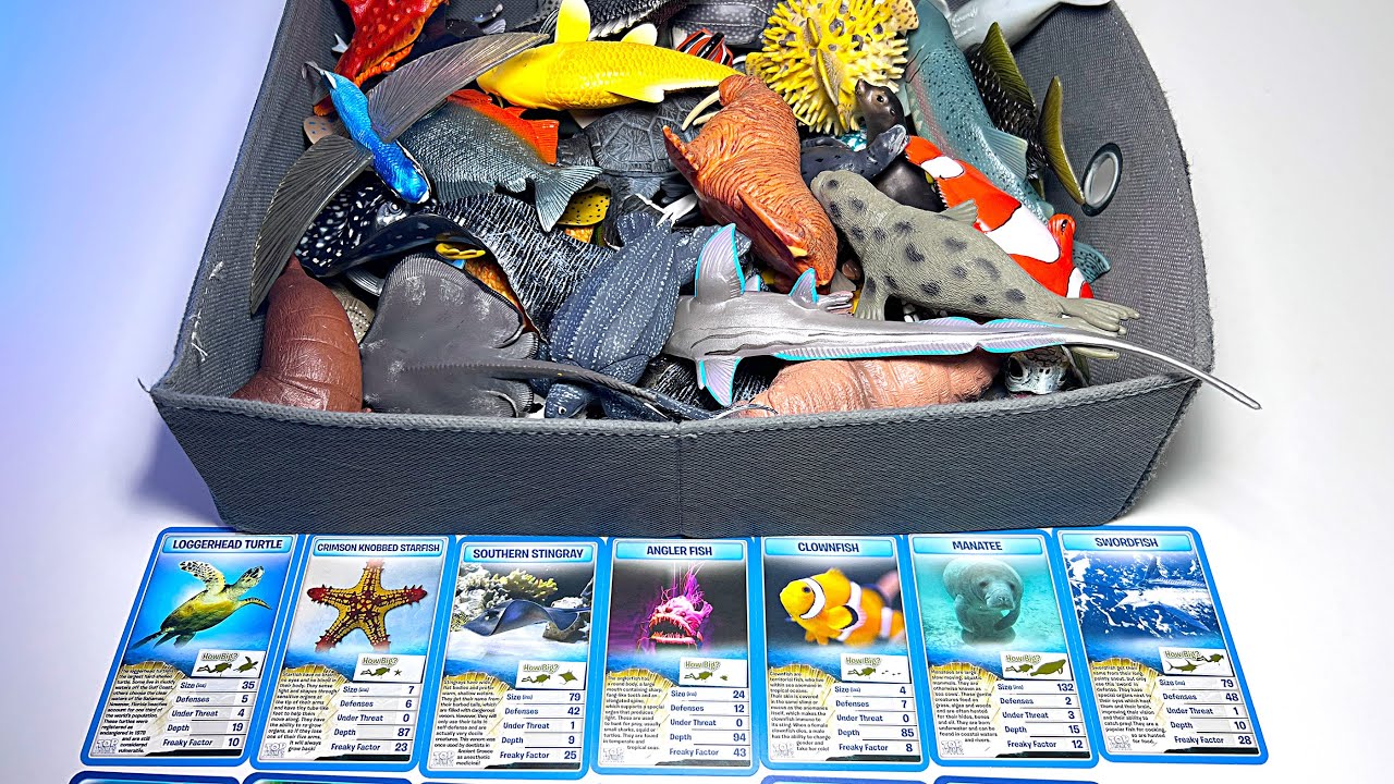 Fish Collection - Clownfish, Angler Fish, Piranha, Sturgeon, Gar Fish, Blue Tang, Starfish, Frogfish