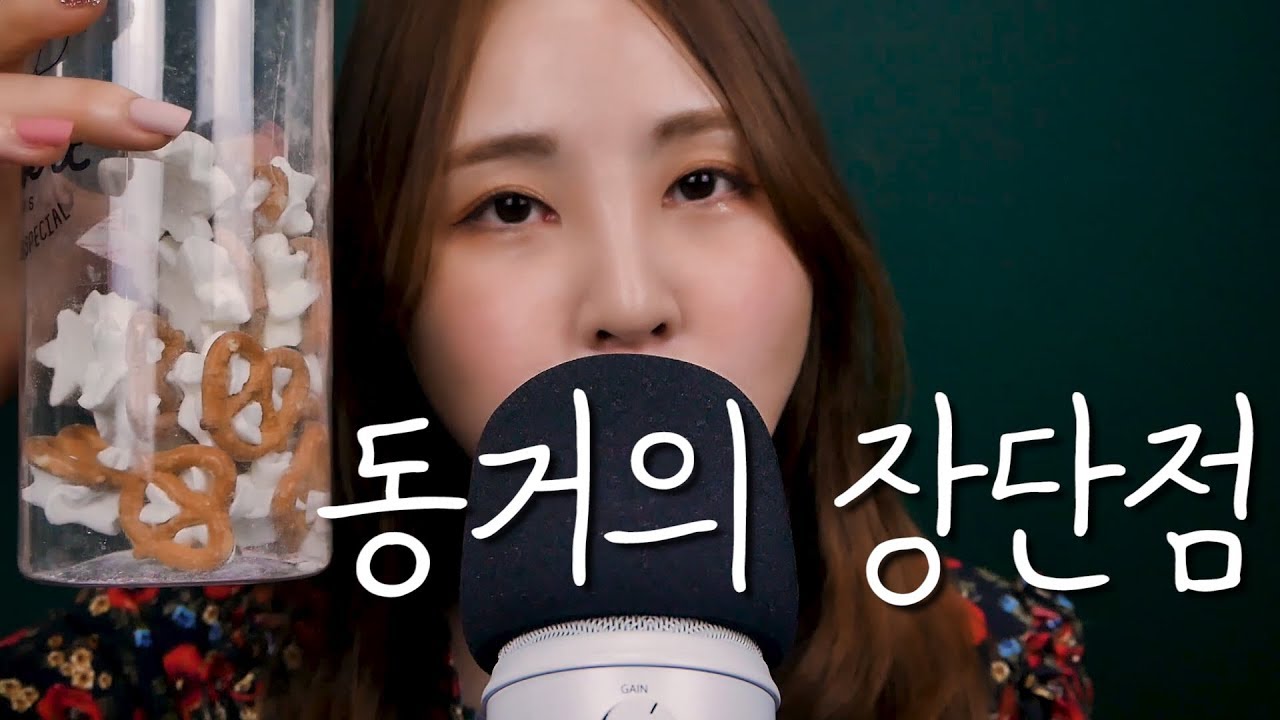 블루예티 입소리+수다 ASMR｜동거의 장단점 (feat. 프레첼 머랭쿠키, Blue Yeti)