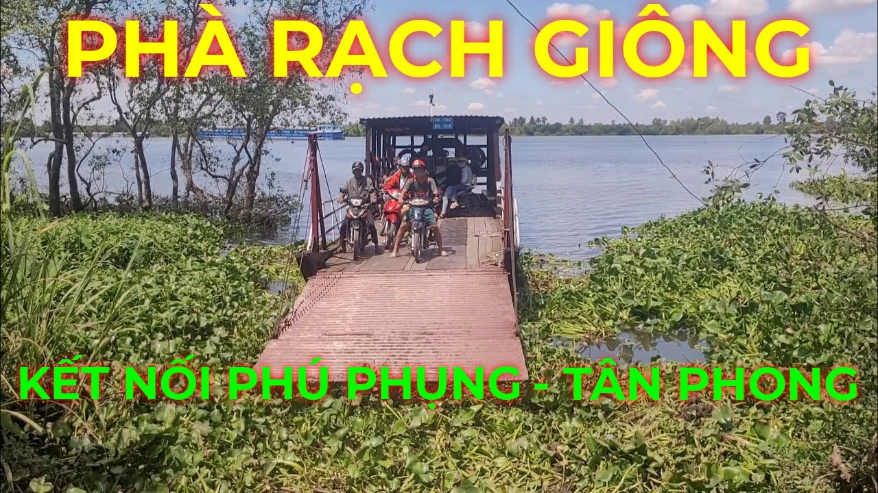 Phà Rạch Giông kết nối Tân Phong Cai Lậy Tiền Giang với Phú Phụng Chợ Lách Bến Tre