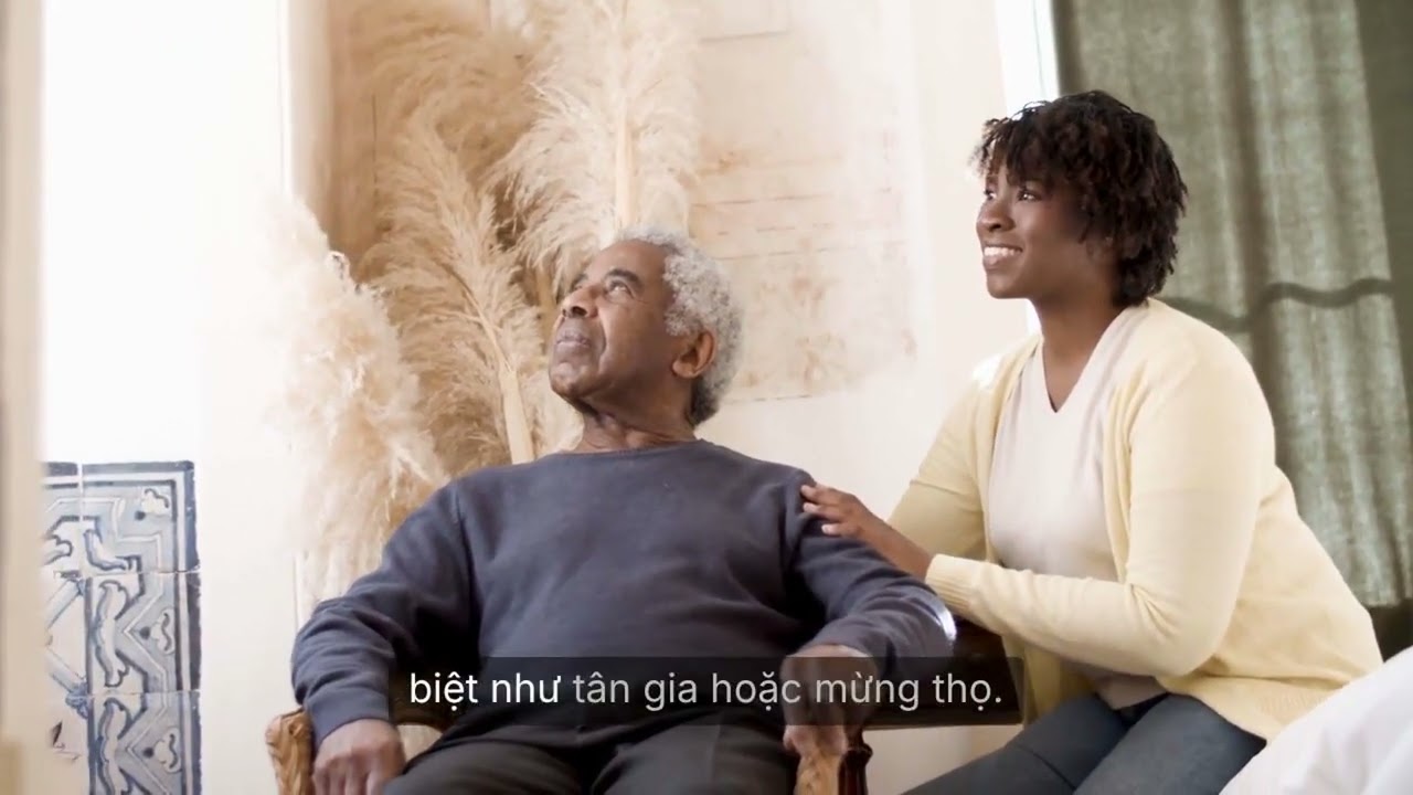 Nên Đặt Cây Gì Trong Phòng Khách 10 Loại Cây Hút Tài Lộc, Thanh Lọc Không Khí