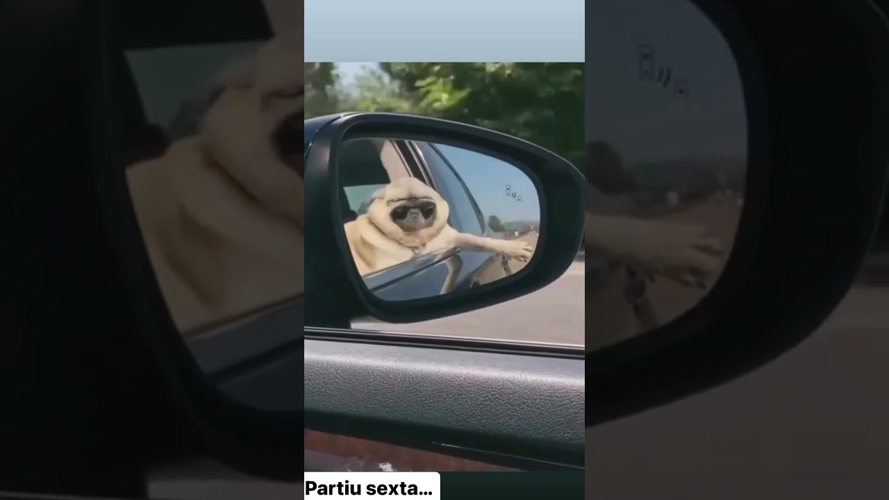 Bitc&atilde;o Partiu Sexta&hellip; #shorts