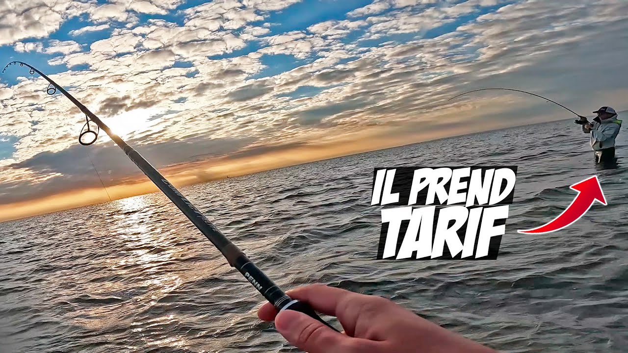 IL SE FAIT D&Eacute;BO&Icirc;TER SUR CE SPOT DE FOU, P&Ecirc;CHE DU BAR AU JERKBAIT 💥