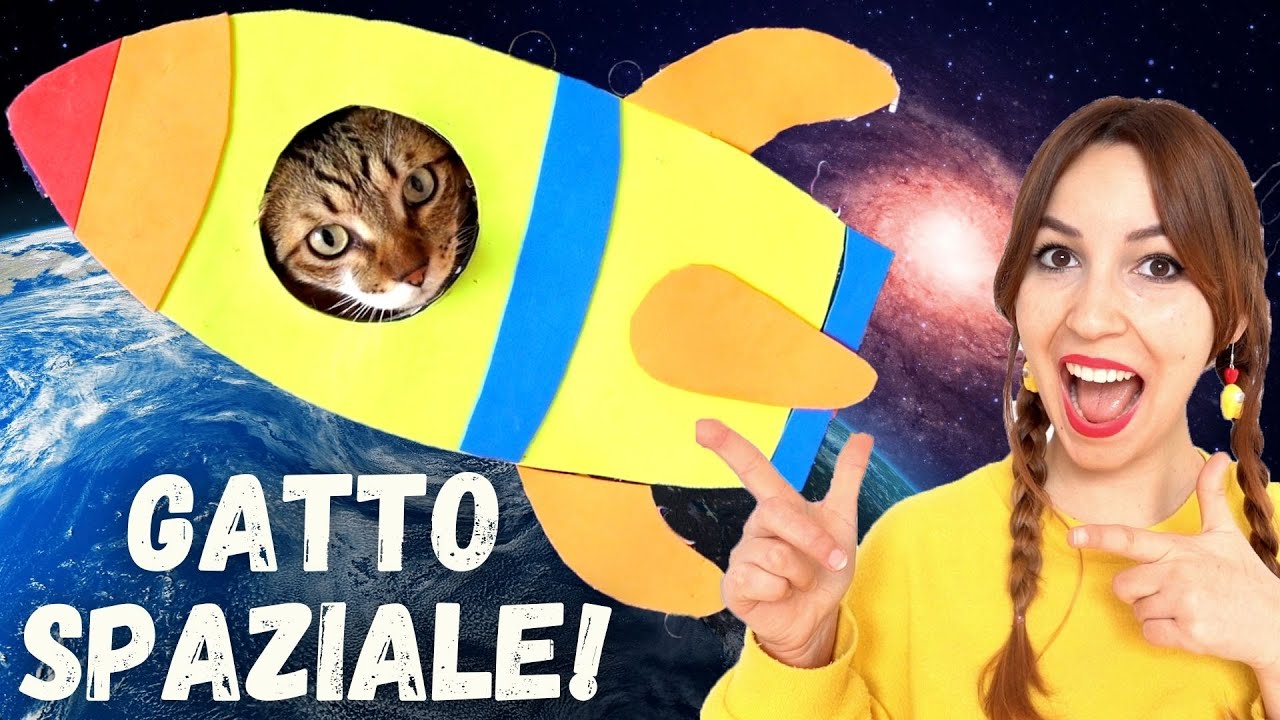 SPEDISCO FUFI NELLO SPAZIO! *navicella spaziale gioco per gatti!*