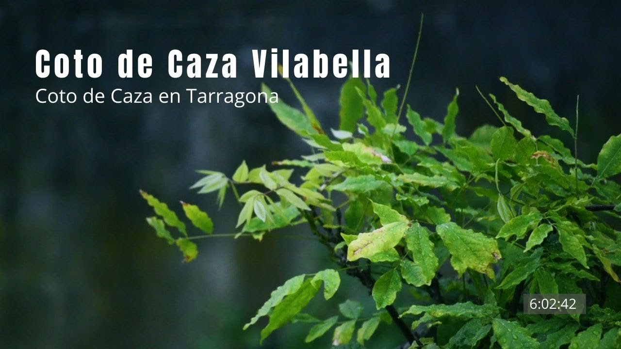 COTO VILABELLA, Coto de Caza en Tarragona