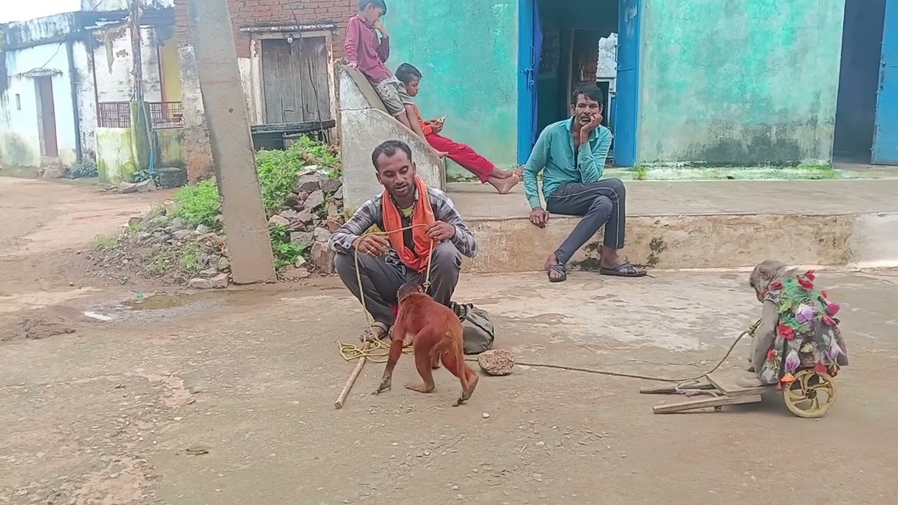 Bandar ka khel 😄😊✅....! #khel #viralvideo 