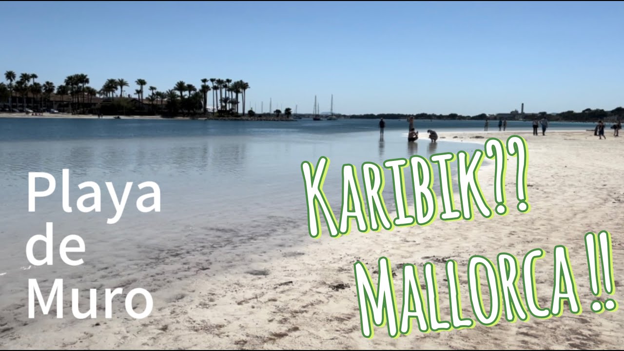 Mallorca🐬Playa de Muro🐬Karibikstrand in Europa😍tolles Wetter im April😁🦈🦈