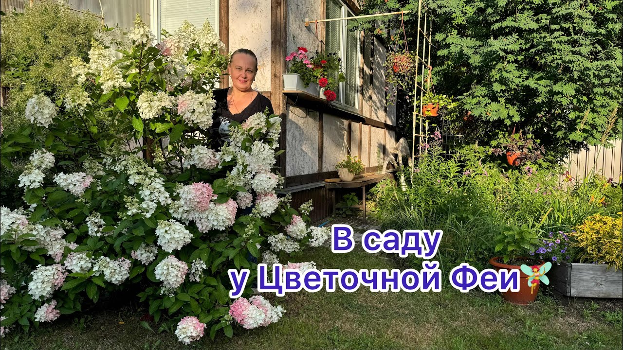 В гостях у Светланы. Её прекрасный сад. Конец июля.