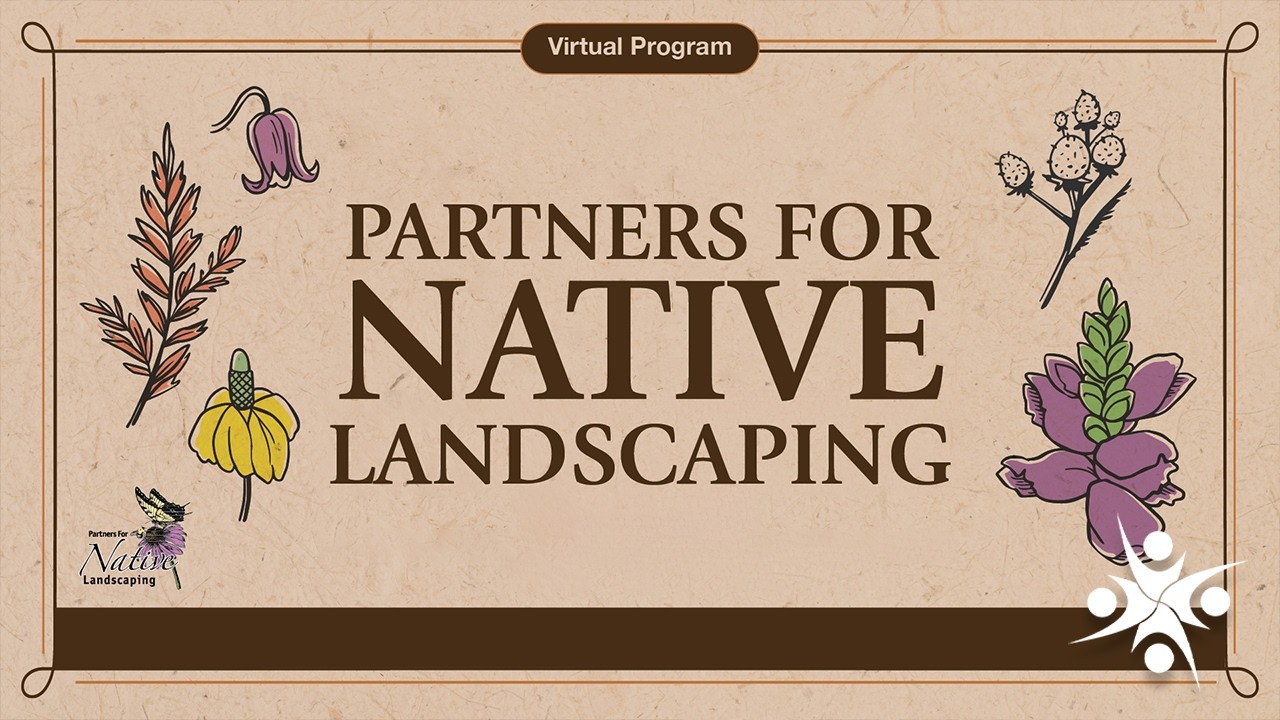A Weed By Any Other Name – Native Landscaping for Food and Medicine