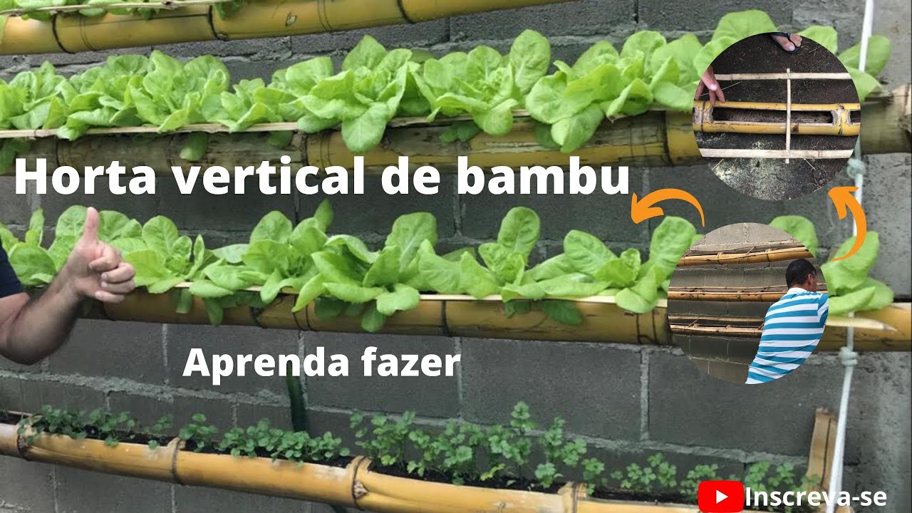Passo a passo - como fazer horta vertical de Bambu | (Ler Descrição)